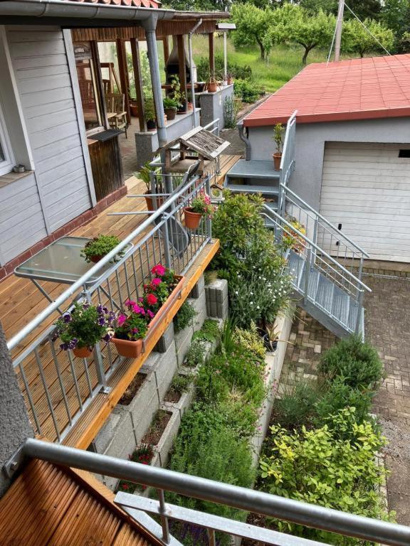 Breitenbach Pension Volgenandt מראה חיצוני תמונה